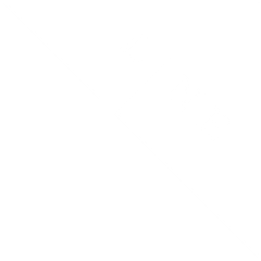 The LINE DC